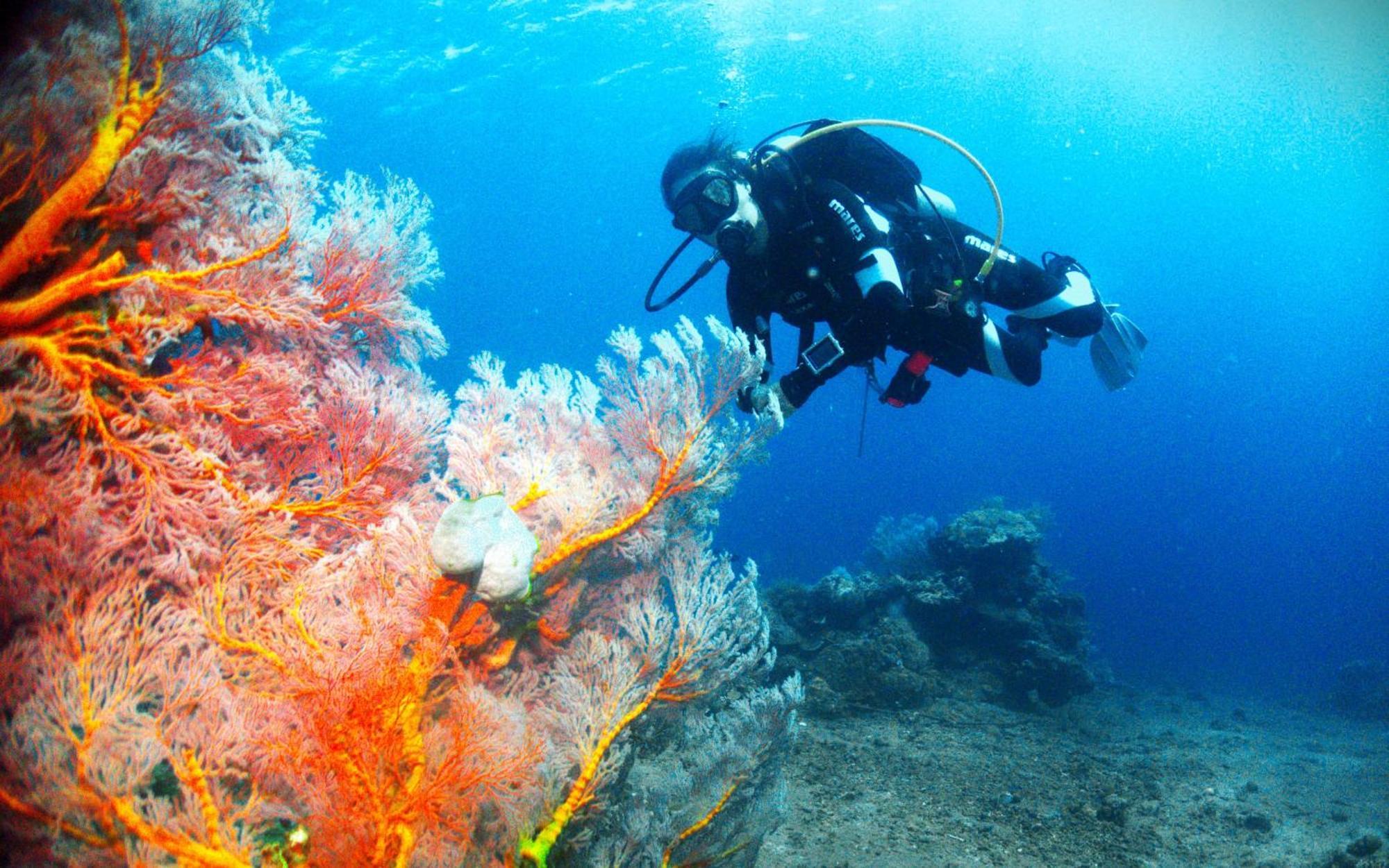 Kura Kura Divers Lodge Amed Zewnętrze zdjęcie